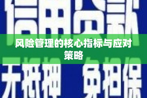 陇南风险管理的核心指标与应对策略