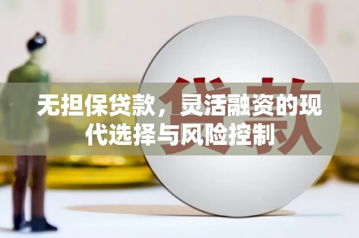 陇南无担保贷款，灵活融资的现代选择与风险控制