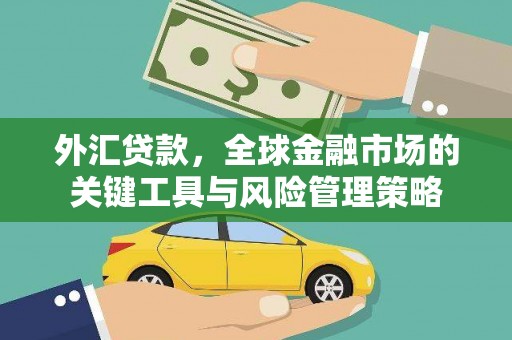 陇南外汇贷款，全球金融市场的关键工具与风险管理策略