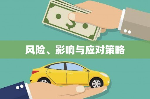 陇南风险、影响与应对策略