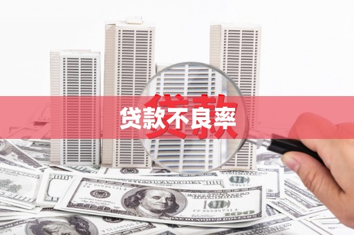 陇南贷款不良率