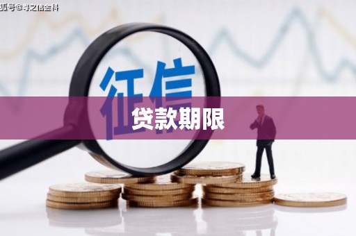 陇南贷款期限