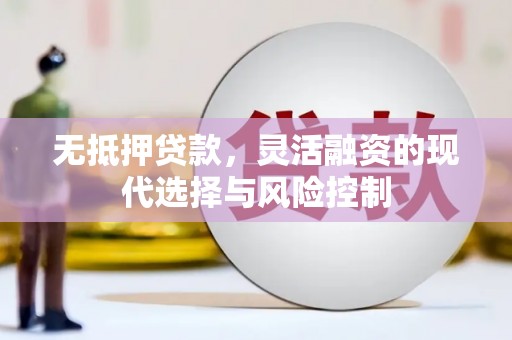 陇南无抵押贷款，灵活融资的现代选择与风险控制
