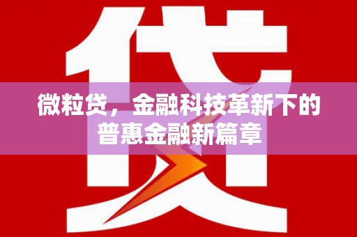 陇南微粒贷，金融科技革新下的普惠金融新篇章