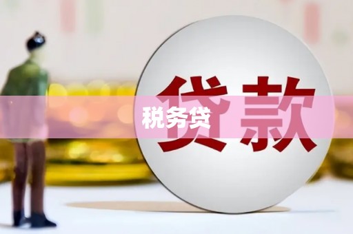 陇南税务贷