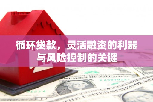 陇南循环贷款，灵活融资的利器与风险控制的关键