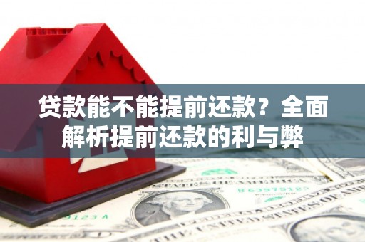 陇南贷款能不能提前还款？全面解析提前还款的利与弊