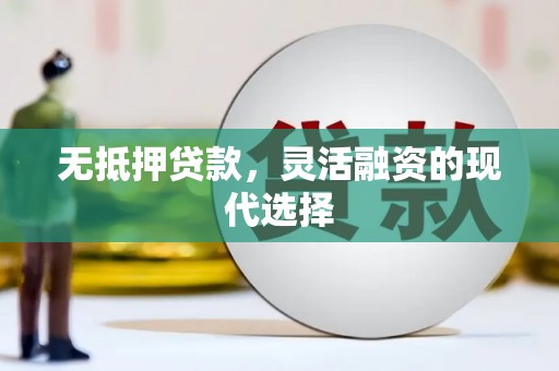 陇南无抵押贷款，灵活融资的现代选择