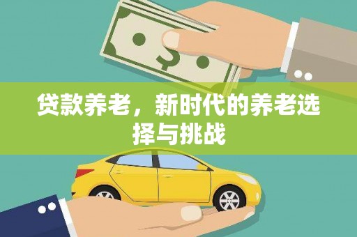 陇南贷款养老，新时代的养老选择与挑战