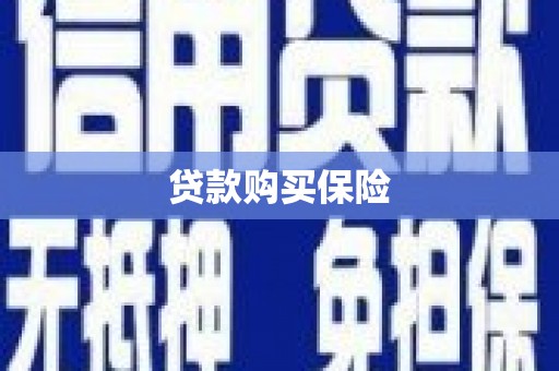 陇南贷款购买保险