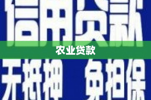 陇南农业贷款