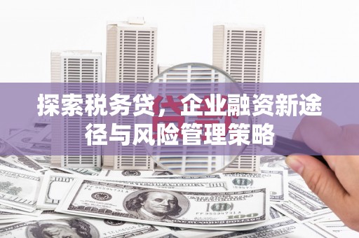 陇南探索税务贷，企业融资新途径与风险管理策略