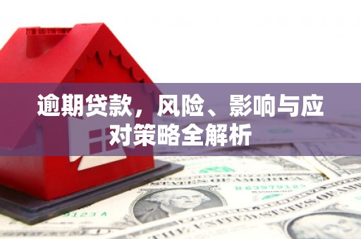 陇南逾期贷款，风险、影响与应对策略全解析