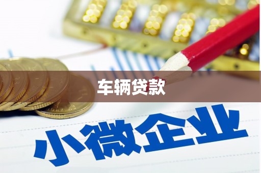 陇南车辆贷款