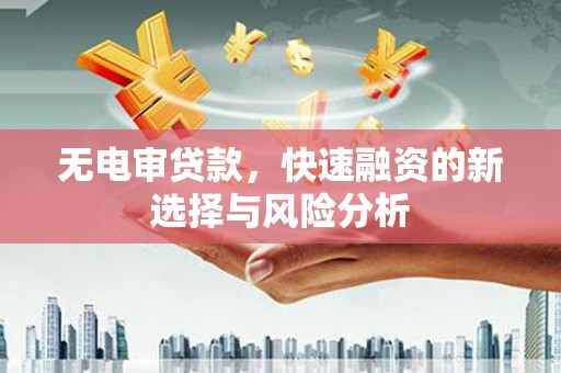 陇南无电审贷款，快速融资的新选择与风险分析