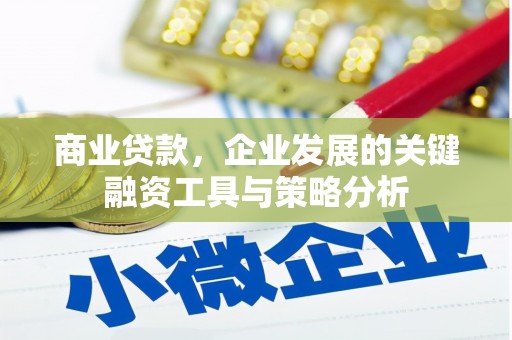 陇南商业贷款，企业发展的关键融资工具与策略分析