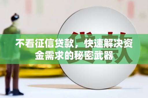 陇南不看征信贷款，快速解决资金需求的秘密武器