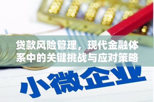 陇南贷款风险管理，现代金融体系中的关键挑战与应对策略