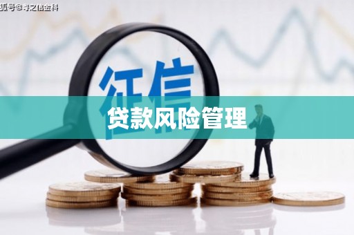 陇南贷款风险管理