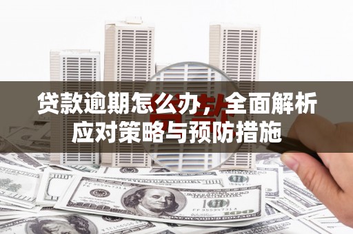 陇南贷款逾期怎么办，全面解析应对策略与预防措施