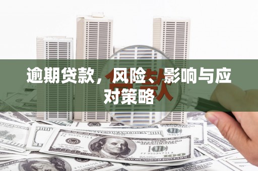 陇南逾期贷款，风险、影响与应对策略