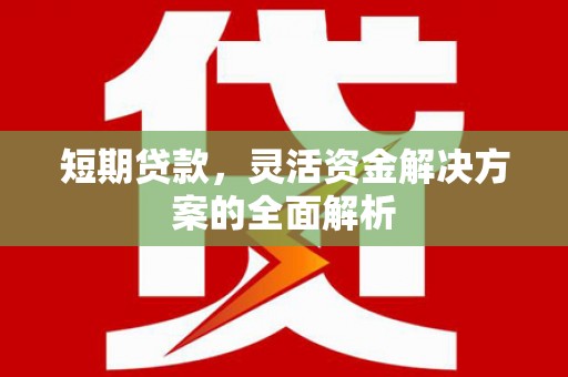陇南短期贷款，灵活资金解决方案的全面解析
