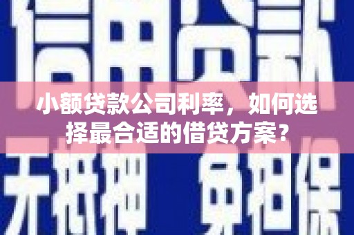 陇南小额贷款公司利率，如何选择最合适的借贷方案？