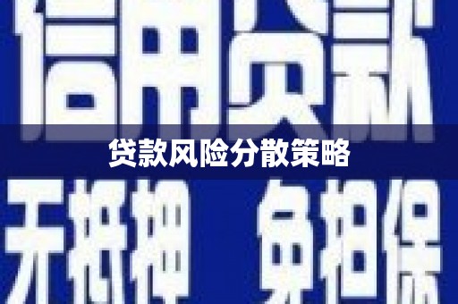 陇南贷款风险分散策略