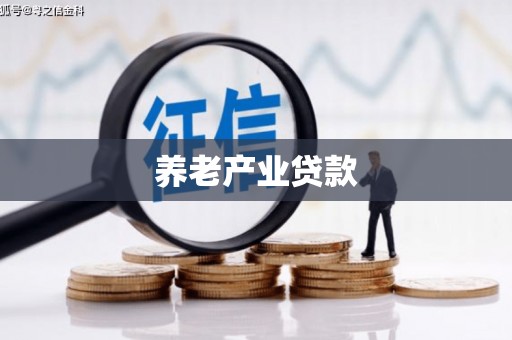 陇南养老产业贷款