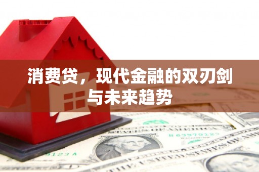 陇南消费贷，现代金融的双刃剑与未来趋势