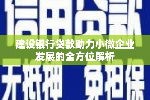 陇南建设银行贷款助力小微企业发展的全方位解析