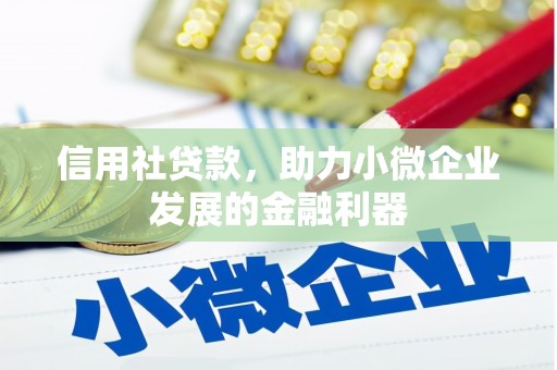 陇南信用社贷款，助力小微企业发展的金融利器