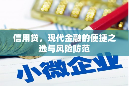 陇南信用贷，现代金融的便捷之选与风险防范