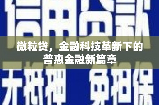 陇南微粒贷，金融科技革新下的普惠金融新篇章