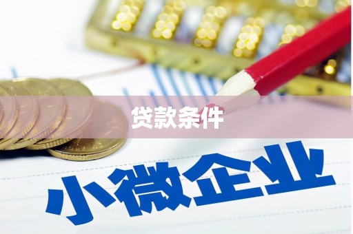 陇南贷款条件