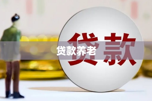 陇南贷款养老