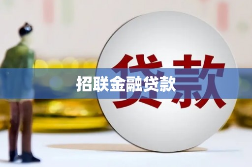 陇南招联金融贷款