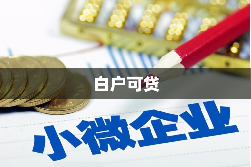 陇南白户可贷