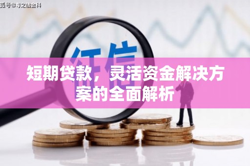 陇南短期贷款，灵活资金解决方案的全面解析