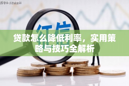 陇南贷款怎么降低利率，实用策略与技巧全解析