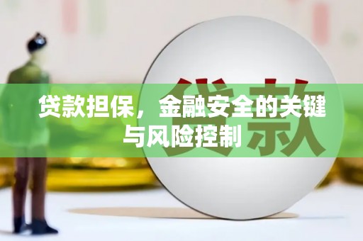 陇南贷款担保，金融安全的关键与风险控制