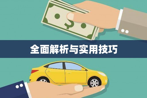 陇南全面解析与实用技巧