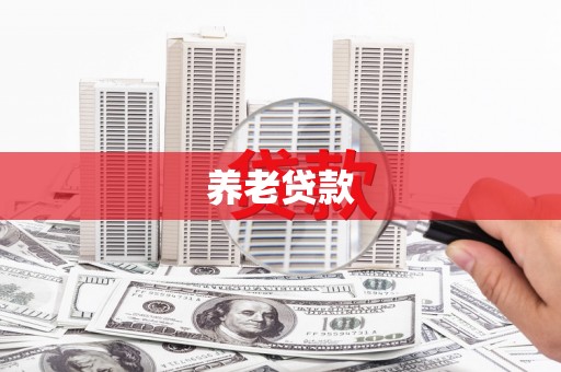 陇南养老贷款