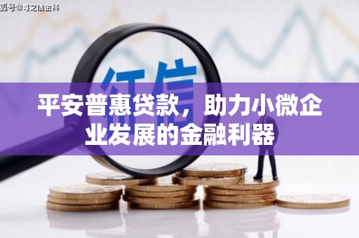 陇南平安普惠贷款，助力小微企业发展的金融利器