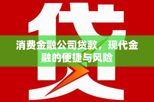 陇南消费金融公司贷款，现代金融的便捷与风险
