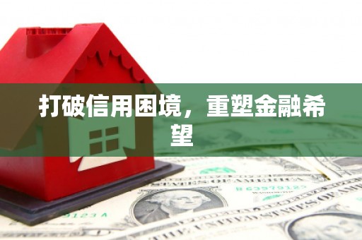 陇南打破信用困境，重塑金融希望