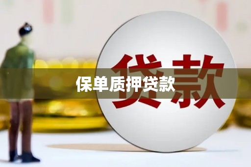 陇南保单质押贷款