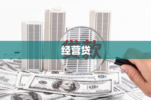 陇南经营贷