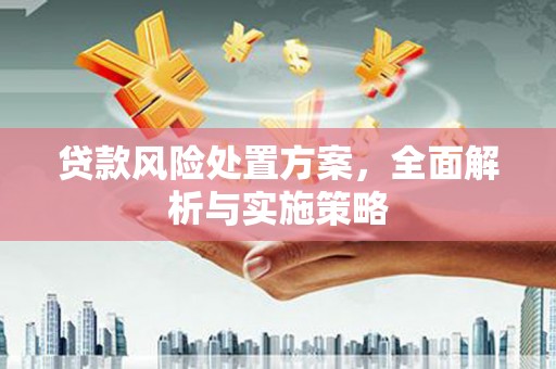 陇南贷款风险处置方案，全面解析与实施策略